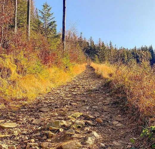 Telkom 2 מילובקה