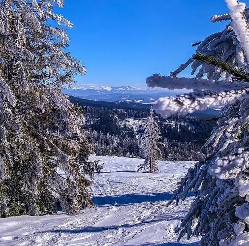 Telkom 2 Apartmán *