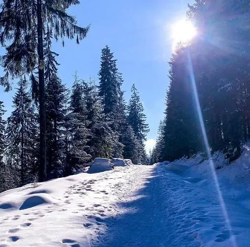 Telkom 2 Apartmán *