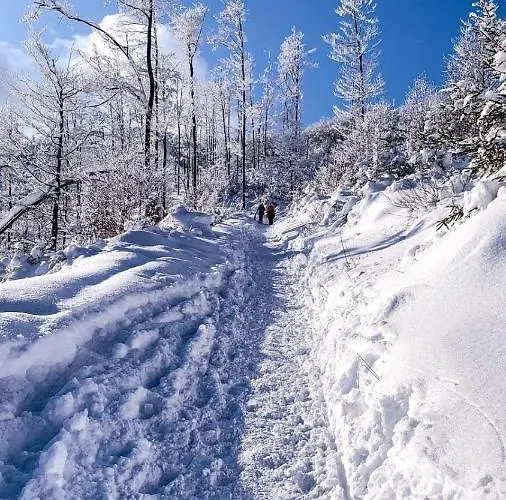 דירה Telkom 2 מילובקה